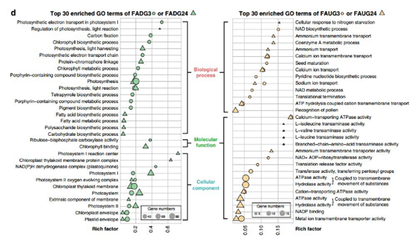 QQ 截图 20191204144953