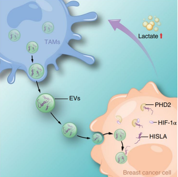 QQ 截图 20191204140131
