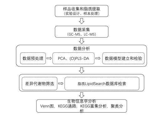 代谢组脂质组学项目流程图