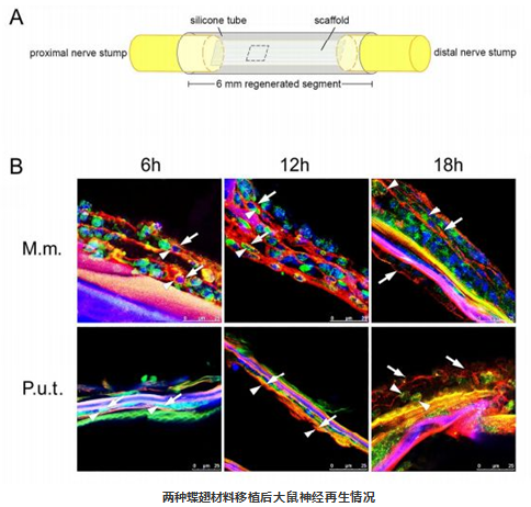 QQ 截图 20191204143008