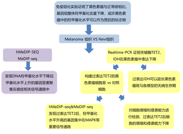 hMeDIP-seq 研究思路
