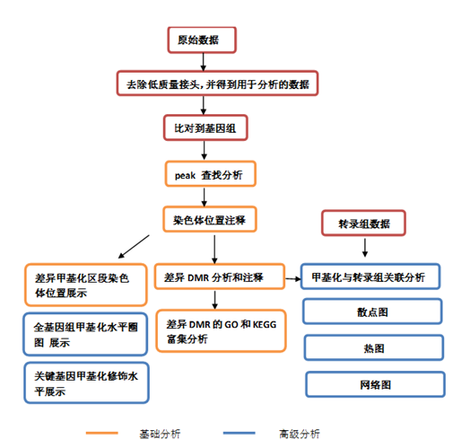 DNA 羟甲基化测序分析流程