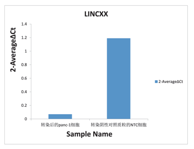伯豪生物 CRISPRi 高效敲降(效率为 90% 以上)