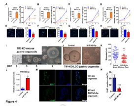 QQ 截图 20191204140910
