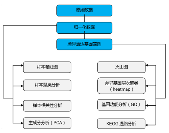 Agilent 表达谱芯片分析流程