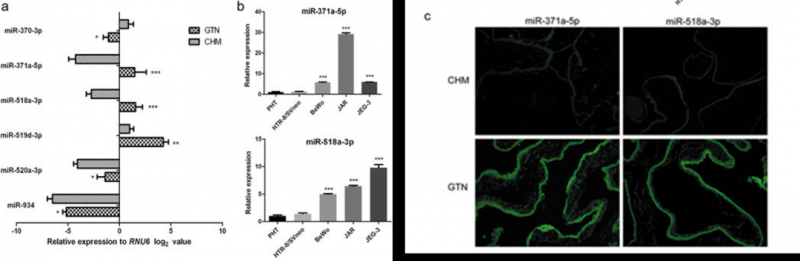 本研究 Affymetrix GeneChip miRNA 4.0 由上海伯豪提供实验和数据分析。