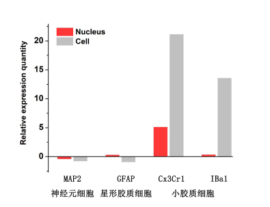 伯豪生物单细胞核转录组测序数据图 5