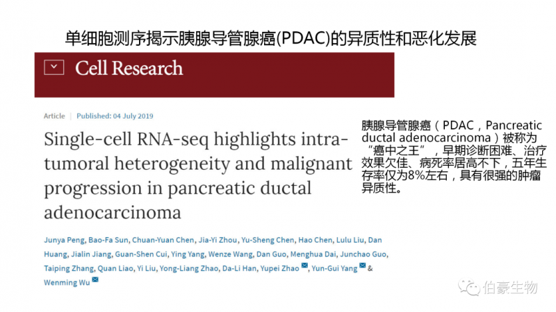 伯豪生物 单细胞测序 服务