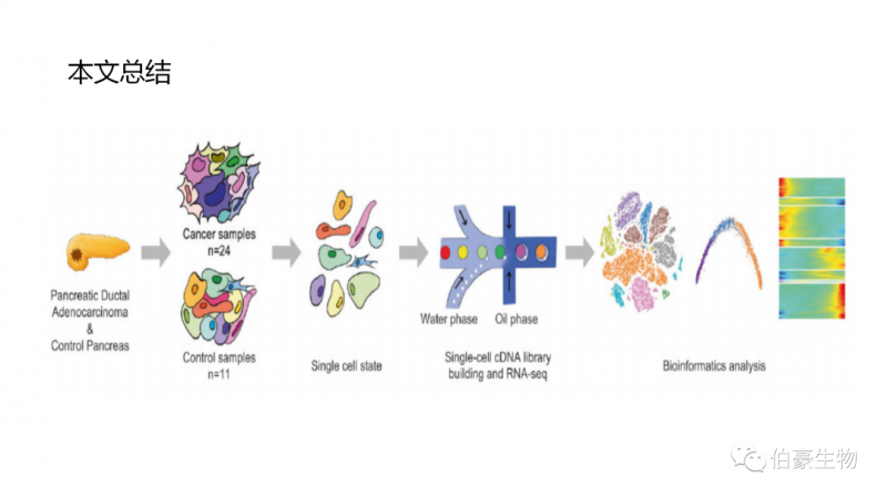 伯豪生物单细胞测序客户发文 5