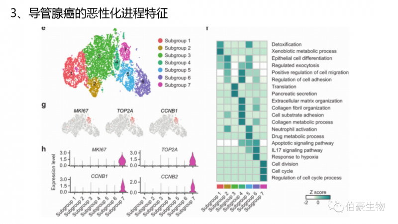 伯豪生物单细胞测序客户发文