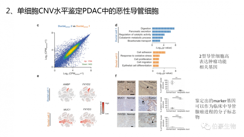 上海伯豪生物 单细胞测序技术 服务