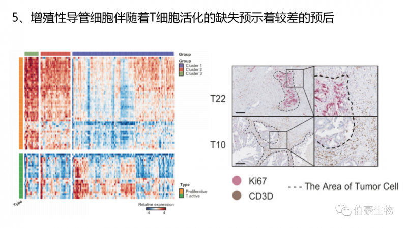 伯豪生物单细胞测序客户发文 4
