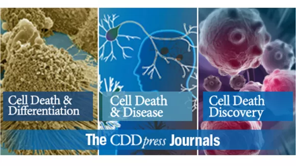 伯豪生物客户转录组测序高分文章 3