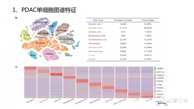 伯豪生物 单细胞测序 服务