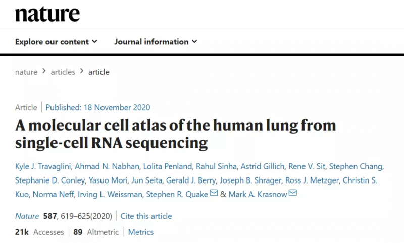 利用单细胞 RNA-seq 技术创造了全肺图谱