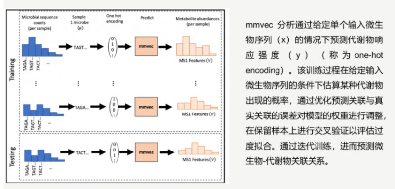 mmvec 分析原理示意图