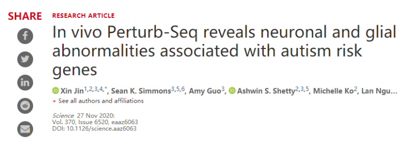 体内 Perturb-Seq 揭示与自闭症风险基因相关的神经元和神经胶质异常