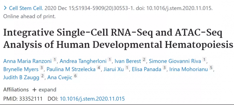 伯豪生物单细胞测序技术服务