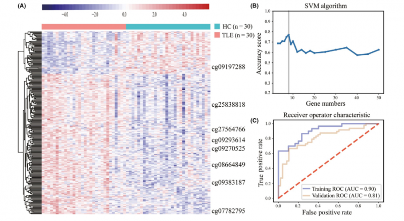 甲基化标志物研究结果 2