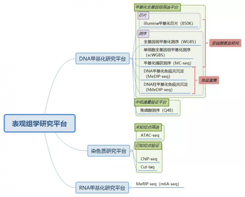 伯豪生物 DNA 甲基化研究的优势