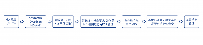 案例一实验项目流程