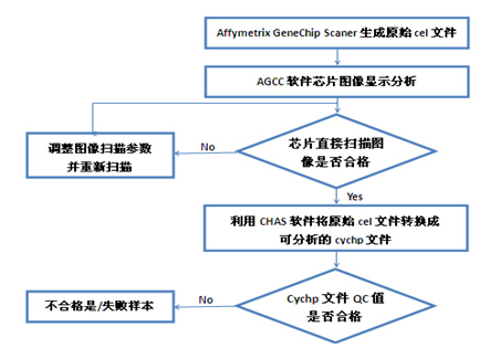 Affymetrix CytoScanHD 芯片实验项目流程