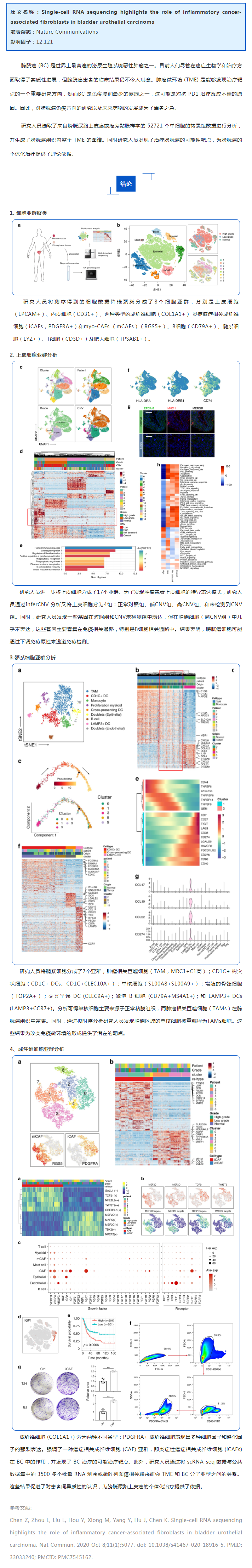 文献解读 | 单细胞测序研究膀胱癌中癌症相关成纤维细胞