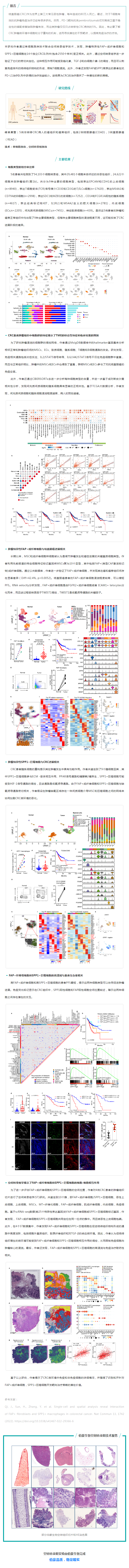 空转实验文章 NC- 上海免疫所苏冰_叶幼琼团队揭示结直肠癌肿瘤边界间质细胞与巨噬细胞互作模式