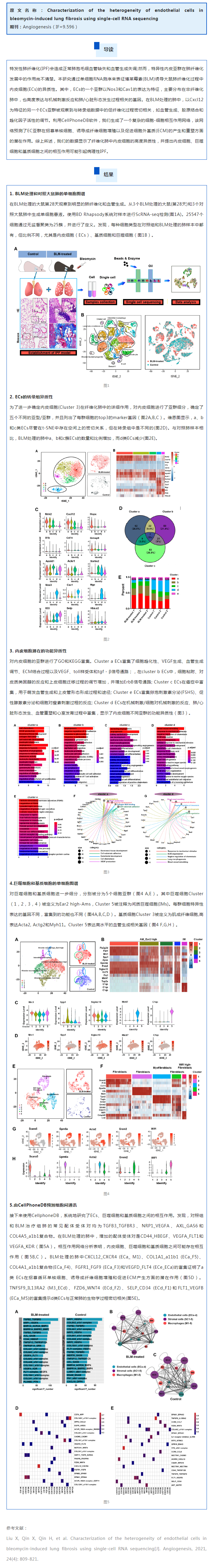 文献解读 | 单细胞 RNA 测序鉴定博莱霉素诱导的肺纤维化中内皮细胞的异质性