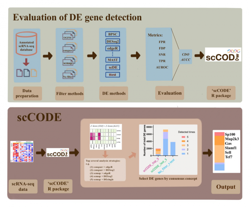 Evaluation of DE gene detection performance and schematic of scCODE