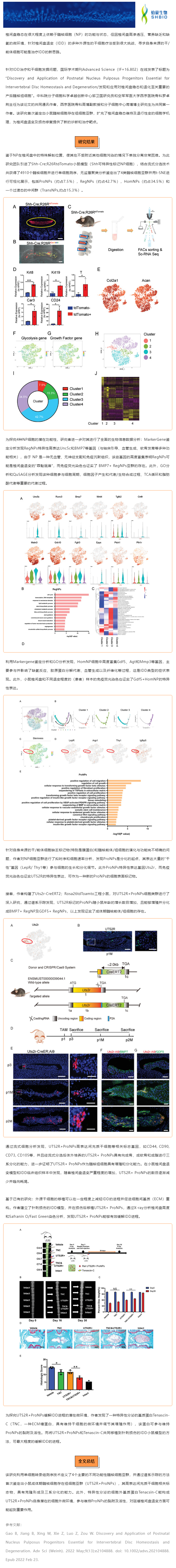 文献解读 | 鉴定和应用髓核前体细胞治疗椎间盘退变