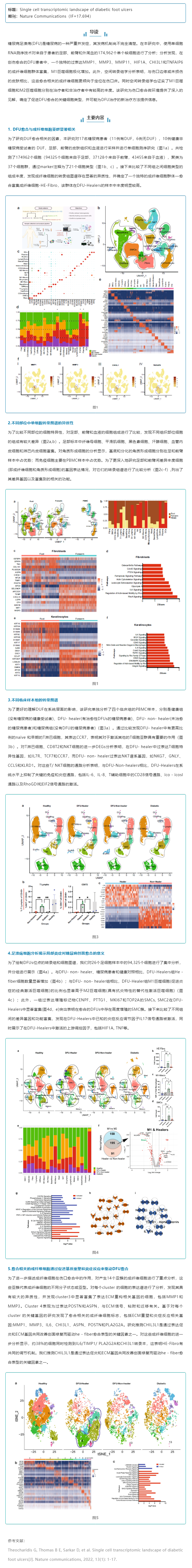 文献解读_糖尿病足溃疡的单细胞转录图谱
