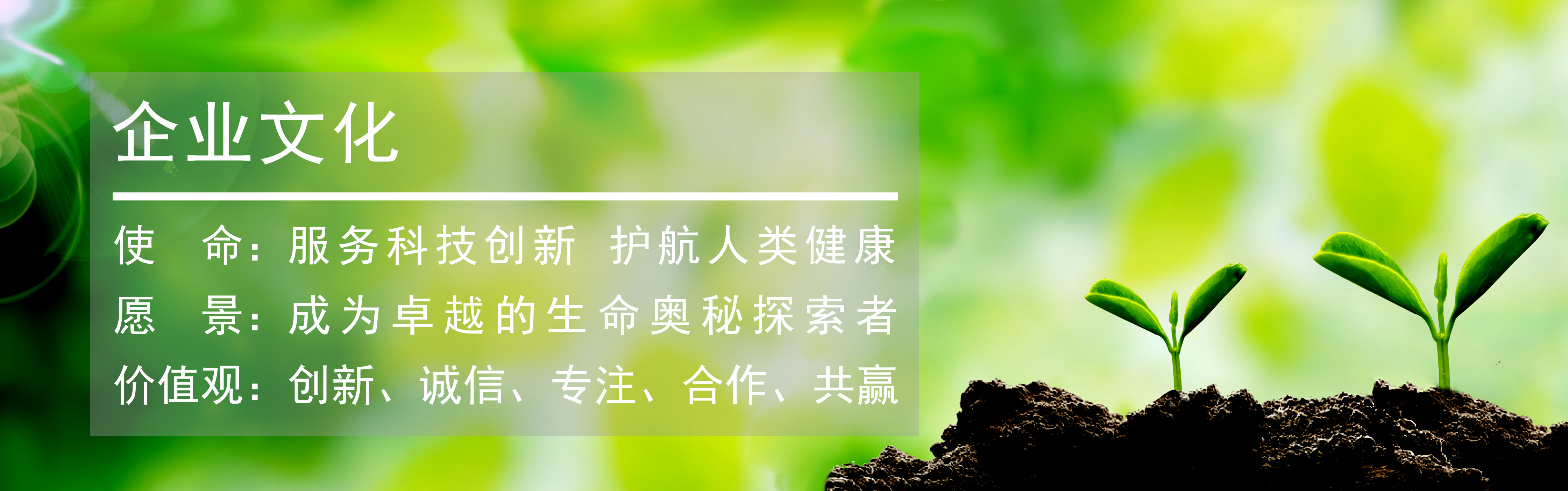 伯豪生物企业文化茁壮生长