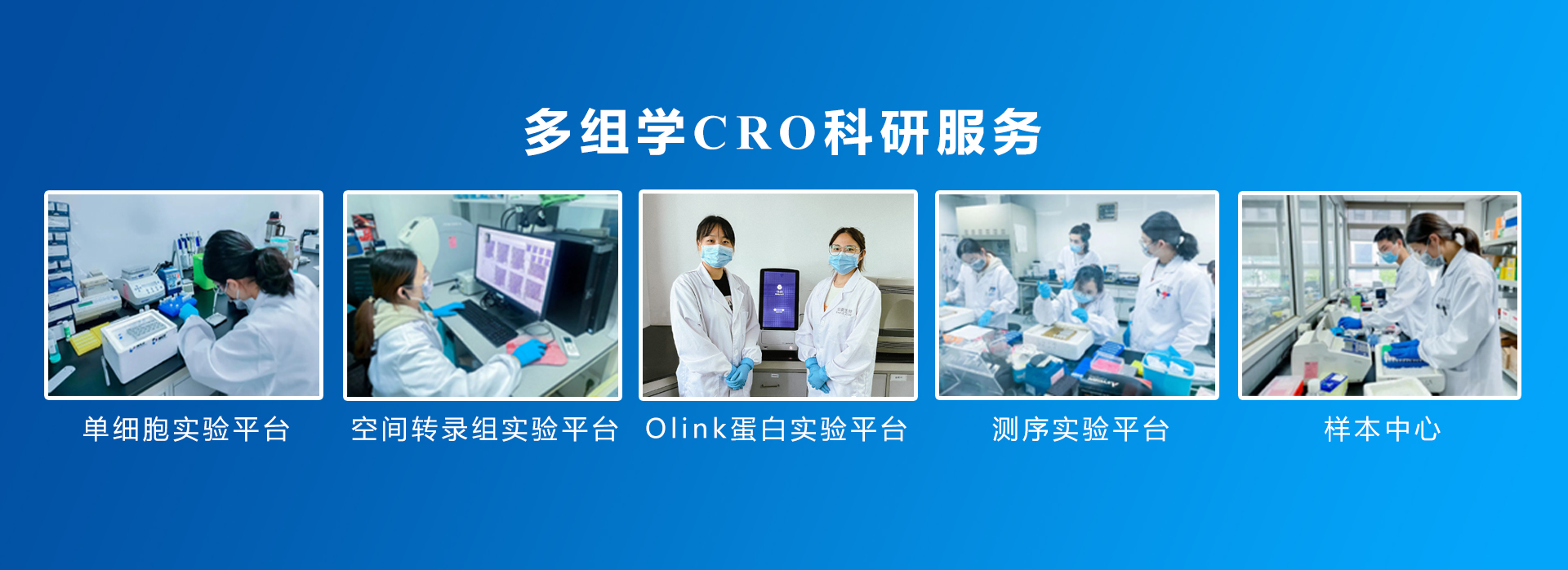 伯豪生物 CRO 服务内容