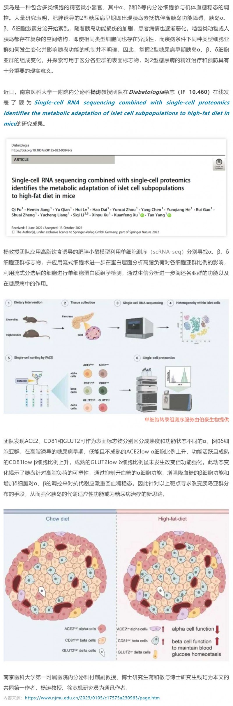 2023-02-01- 单细胞项目文章 -_- 杨涛团队揭示高脂喂养小鼠胰岛细胞亚群的特征