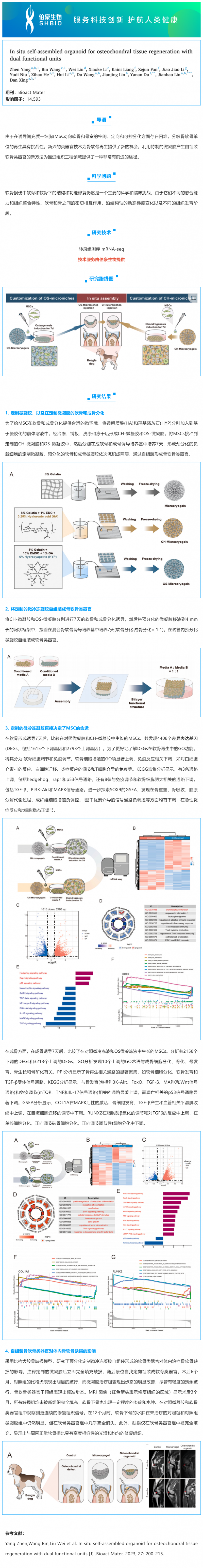 mRNA-seq 项目文章 | 原位自组装类器官用于软骨组织再生