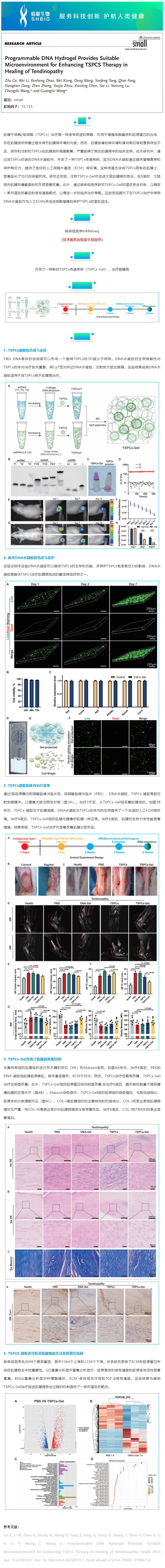 06-19 mRNAseq 项目文章_ 可编程 DNA 水凝胶为增强 TSPCs 治疗肌腱病的愈合提供了合适的微环境副本