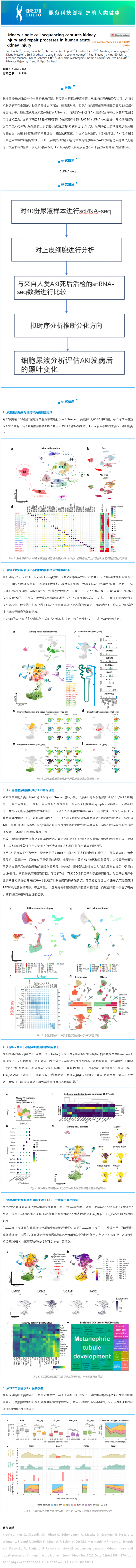 文献解读_尿 scRNA-seq 捕获人类急性肾损伤的肾损伤和修复过程