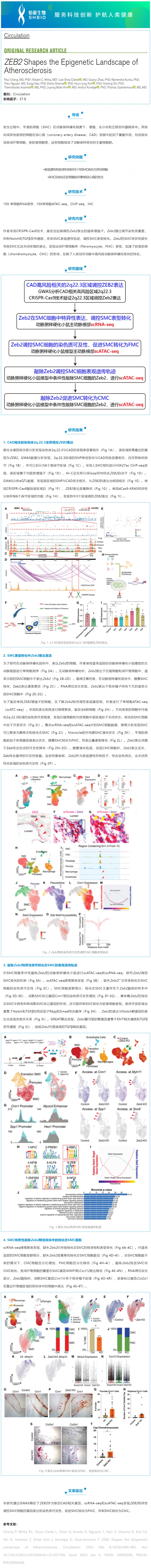 文献解读_scRNA-seq 联合 scATAC-seq 解析 ZEB2 调控动脉粥样硬化表观遗传景观