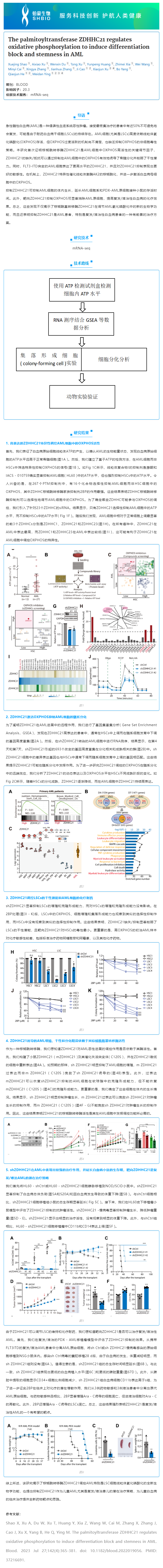 2023-08-14 mRNA-seq 项目文章_棕榈酰转移酶 ZDHHC21 调节氧化磷酸化诱导 AML 分化阻滞和干性
