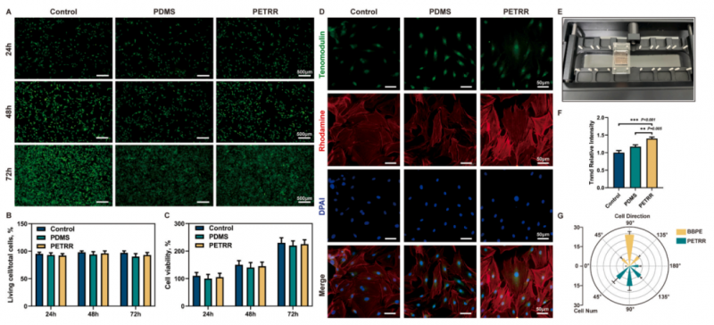 mRNA-seq 项目文章分析图 4