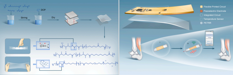 mRNA-seq 项目文章分析图 1
