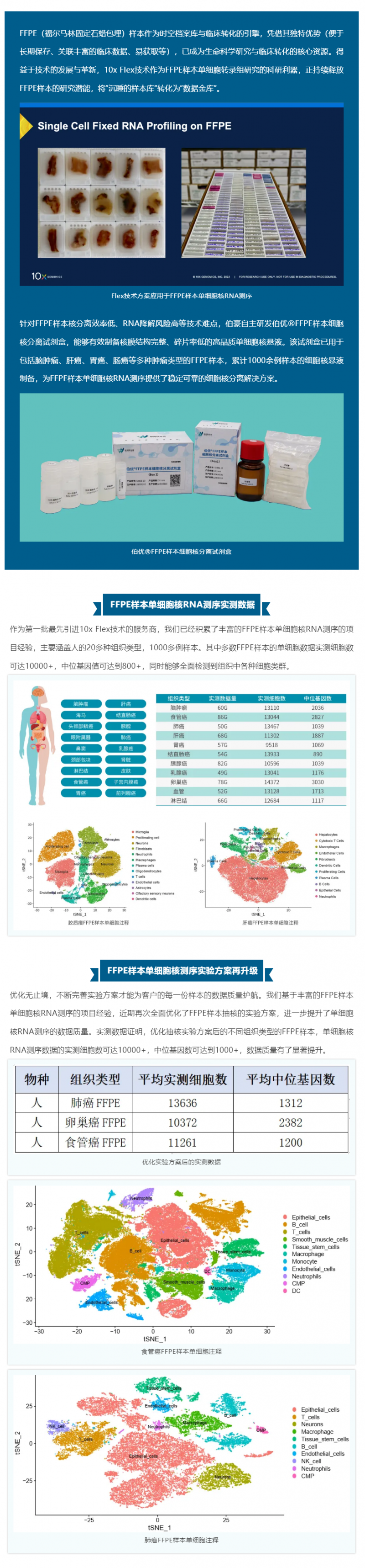 技术突破 _ FFPE 样本产出高质量单细胞数据的秘籍