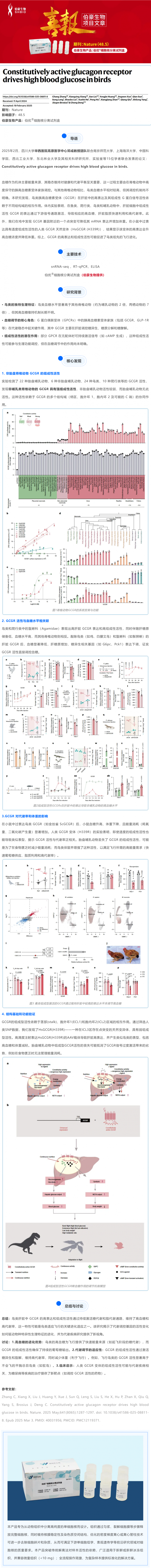 Nature 主刊项目文章 | 组成型活性胰高血糖素受体驱动鸟类高血糖
