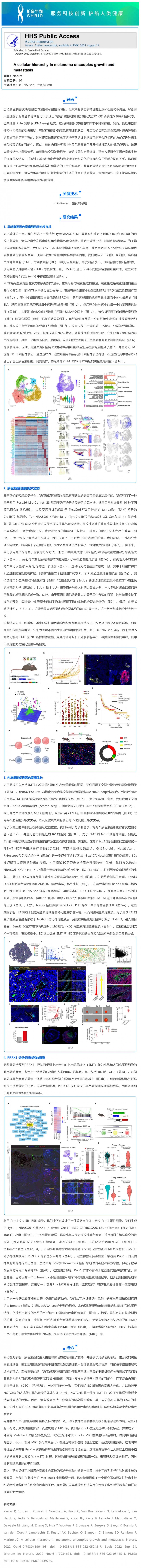 2- 2 文献解读 | 黑色素瘤的细胞层次结构使生长和转移分离