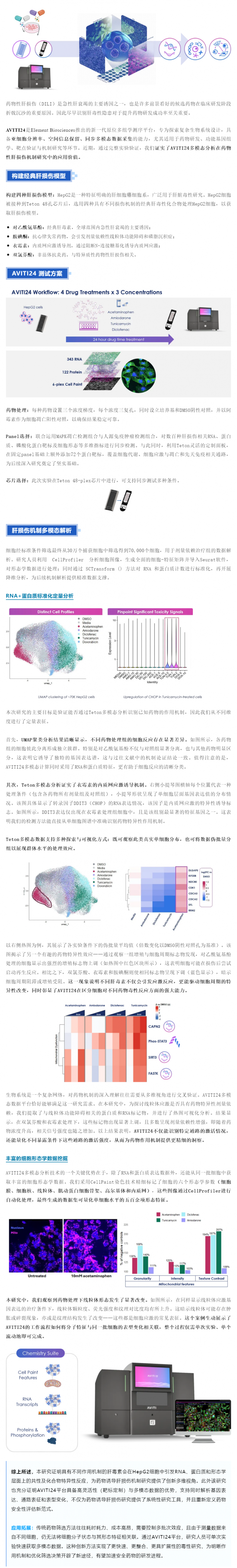 AVITI24 多模态分析定义肝毒性机制解析新范式，助力药物安全性评价