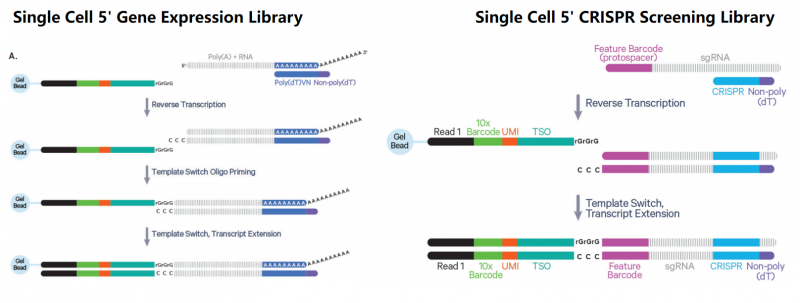 企业微信截图_17667424222716