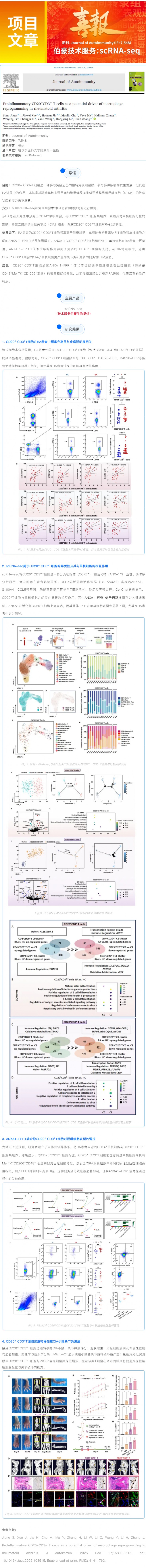 单细胞项目文章 _ 促炎性 CD20+CD3+ T 细胞是类风湿关节炎巨噬细胞重编程的潜在驱动因素