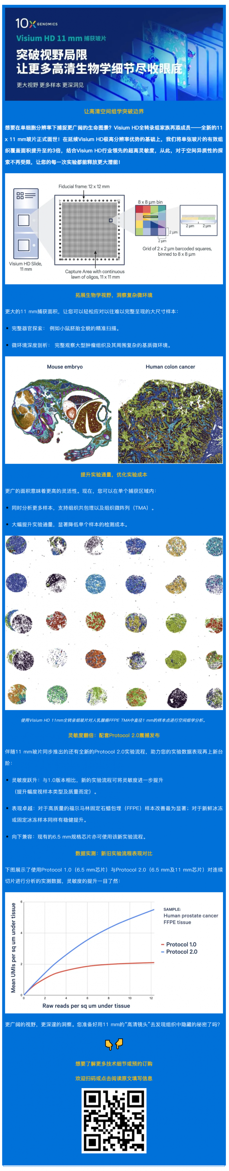 【新品发布】视野再进阶！Visium HD 11 mm 捕获玻片全新上市