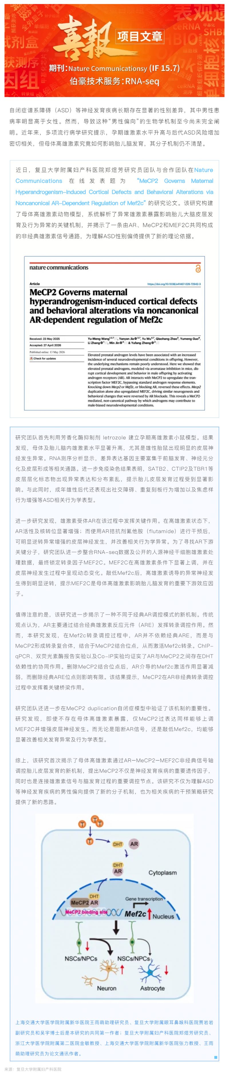 项目文章 _ 郑煜芳研究员与合作团队破解自闭症“男性偏向”机制